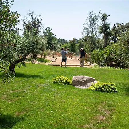 Ibis Styles Vecchio Szálloda *